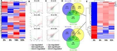 Molecular Screening for Nigericin Treatment in Pancreatic Cancer by High-Throughput RNA Sequencing